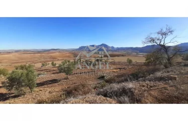 Casa o chalet en venta en Ardales