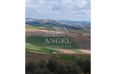 Casa o chalet en venta en Ardales